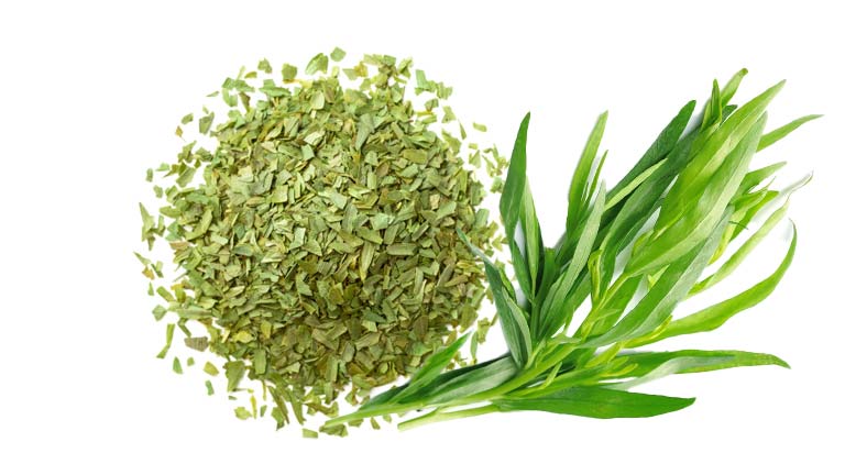 ترخون خشک معطر و با کیفیت برای چاشنی انواع غذا