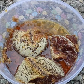 تصویر 4 از عسل کوهی وحشی با بسته بندی استاندارد و حفظ کیفیت محصول تا زمان مصرف
