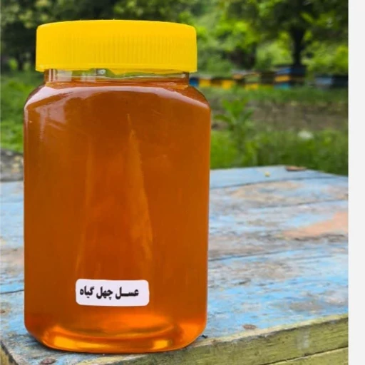 تصویر 4 از فروش عسل چهل گیاه خوانسار با تازگی بالا و کیفیت ممتاز مناسب خریداران عمده و جزئی