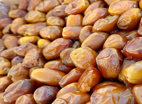 تصویر 2 از خرما زاهدی شیرین و خوش طعم مخصوص پذیرایی مهمانان