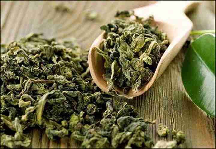 فروش چای سبز
