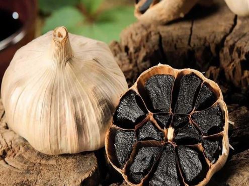 تصویر 4 از سیر سیاه مشهد با مواد اولیه مرغوب و کنترل کیفیت