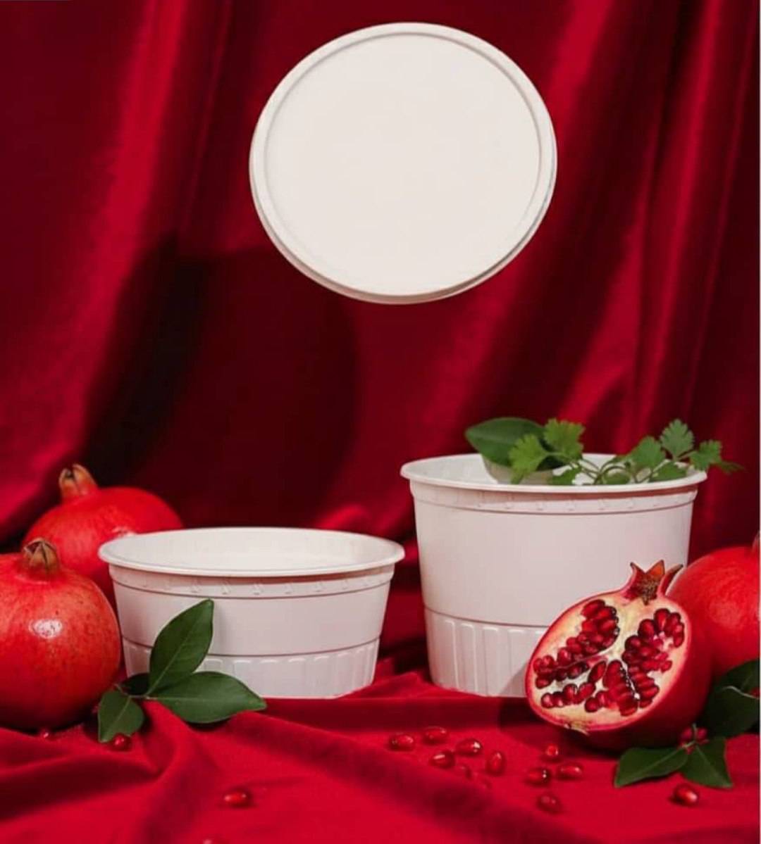 ظروف یکبار مصرف گیاهی
