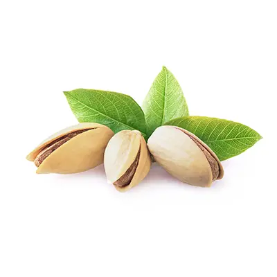 خرید پسته شور