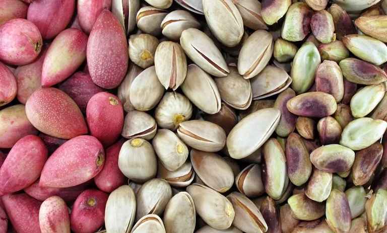 قیمت پسته تازه