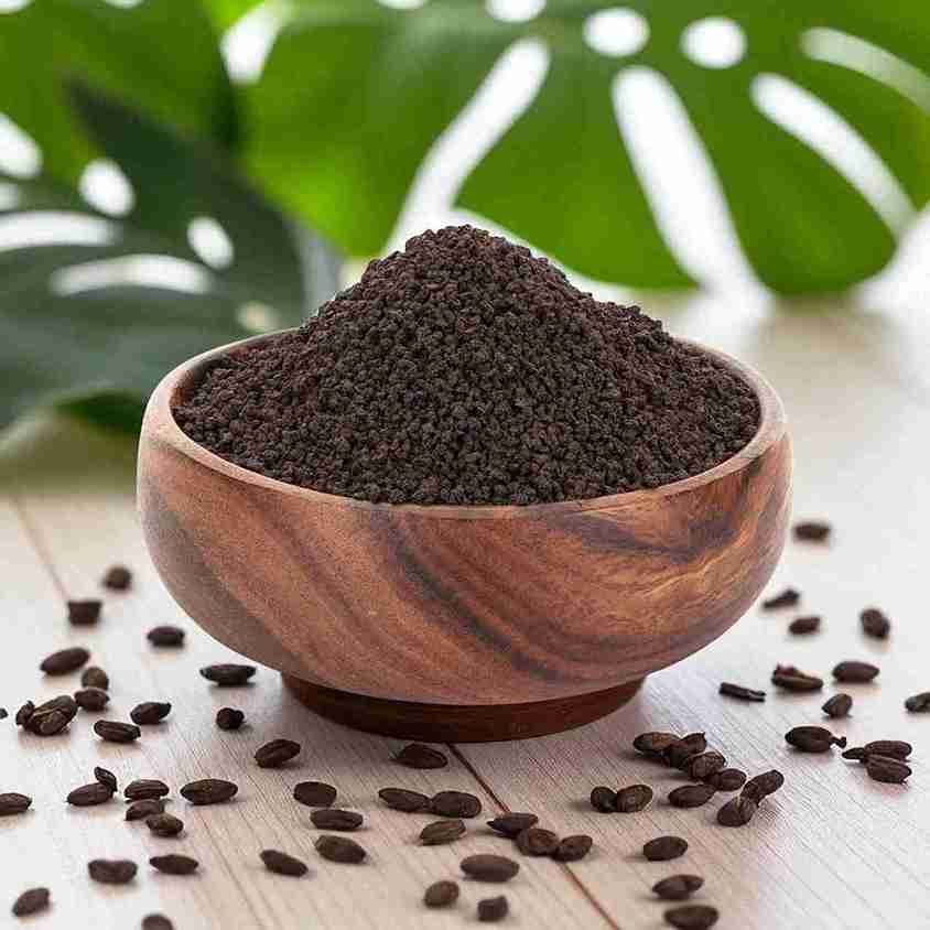 چای کله مورچه ای