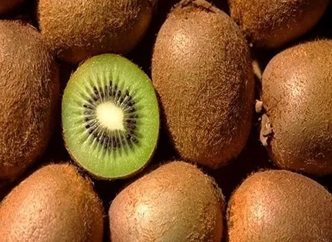 فروش کیوی