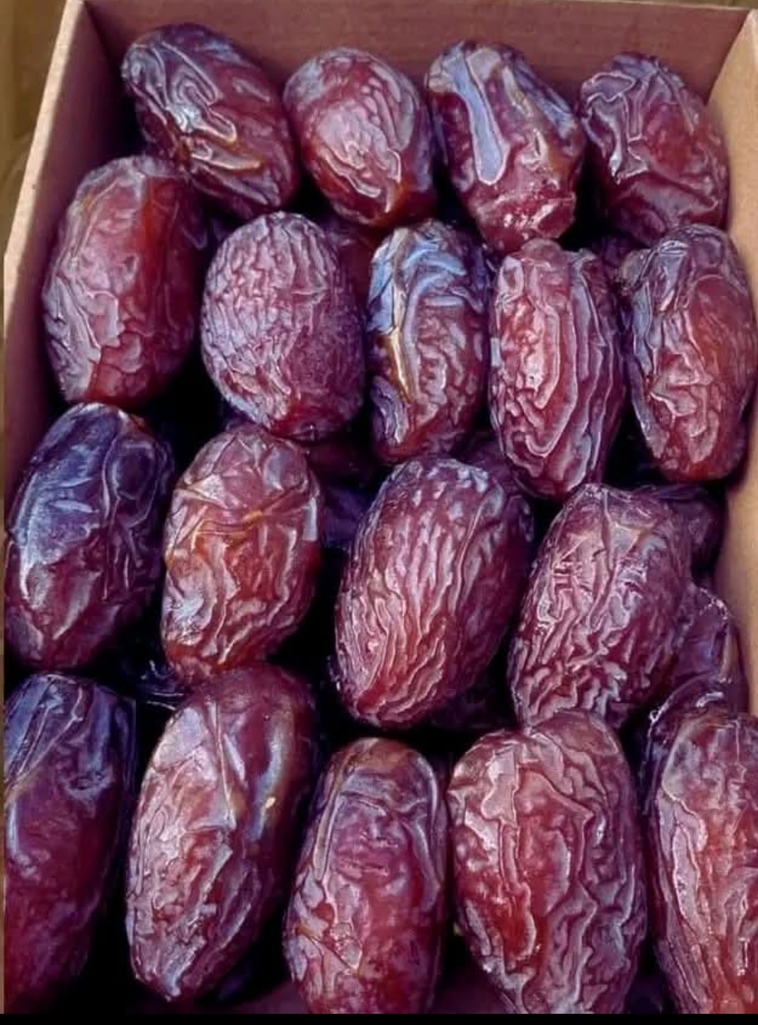 چرا خرمای مجول انتخاب اول واردکنندگان است؟