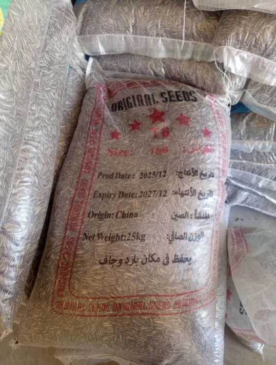 قیمت تخمه دور سفید