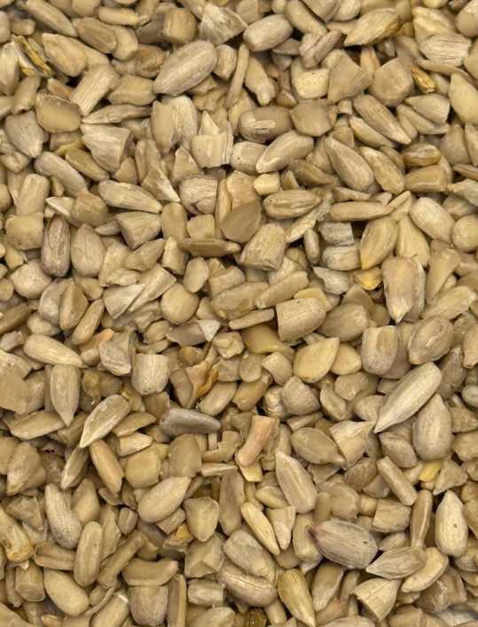 مغز تخمه