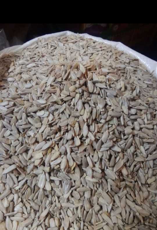 خرید مغز تخمه