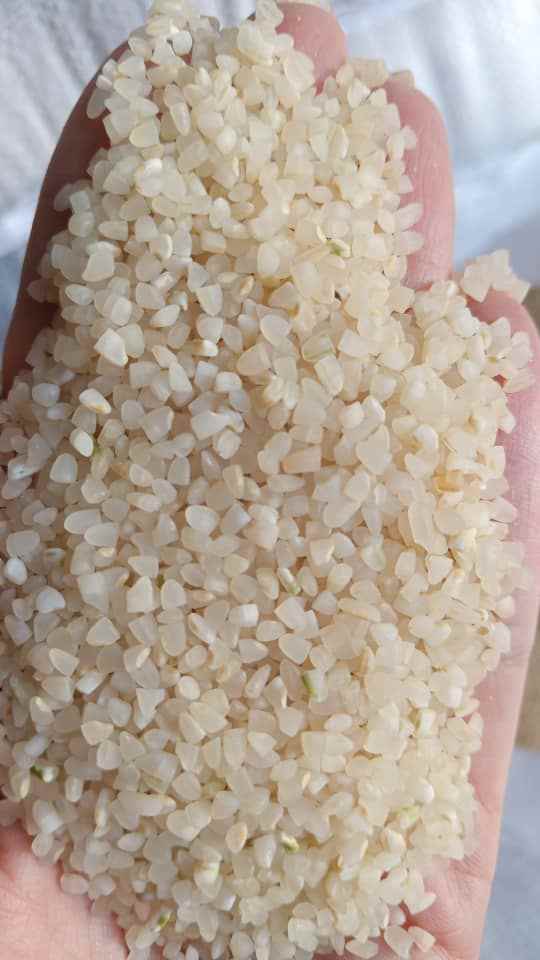 برنج نیم‌دانه عنبربو شوشتر | اصالت عطر و اقتصادی‌ترین گزینه برای خرید عمده