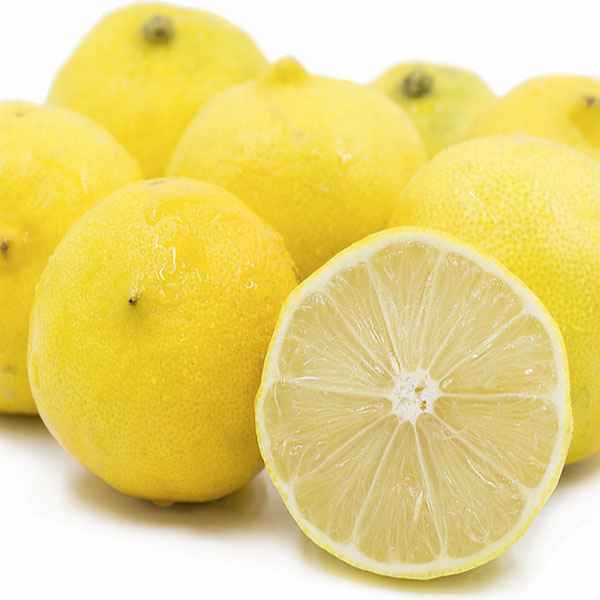 فروش لیمو ترش