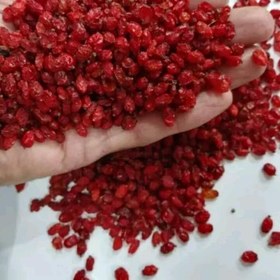 خرید زرشک اناری