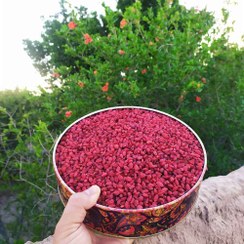 فروش زرشک قاینات