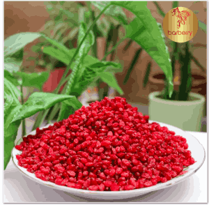 زرشک خراسان