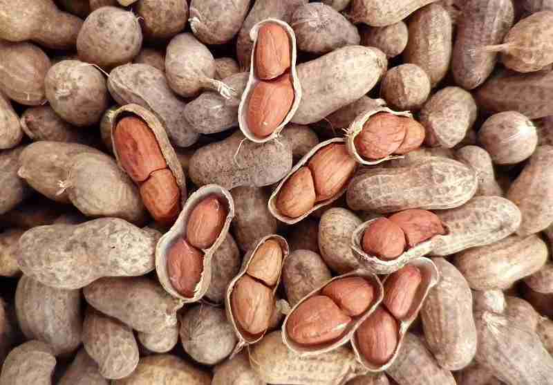 تصویر 1 از بادام زمینی روکش دار با کیفیت مطلوب و ماندگار