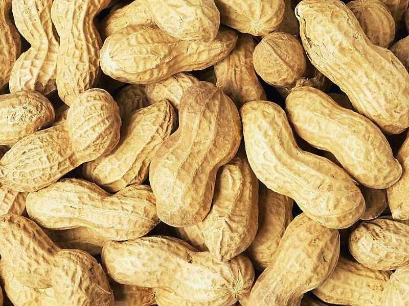 تصویر 3 از بادام زمینی روکش دار با کیفیت مطلوب و ماندگار
