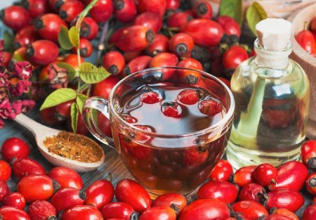 میوه نسترن کوهی ارگانیک تازه سرشار از خواص ارزشمند