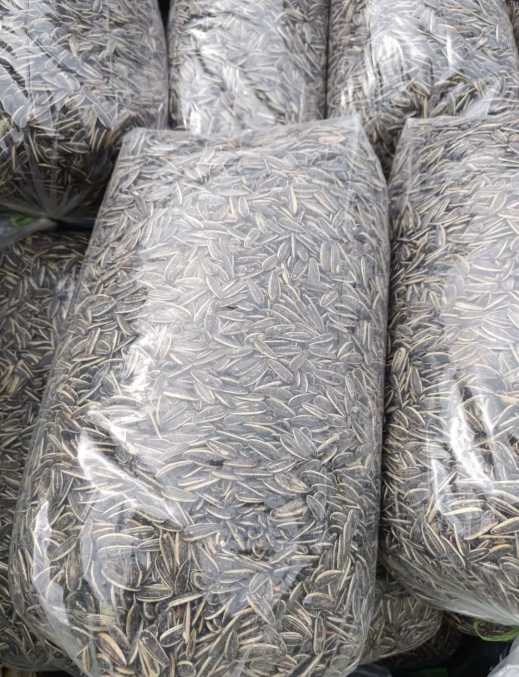 خرید عمده تخمه آفتابگردان با قیمت مناسب