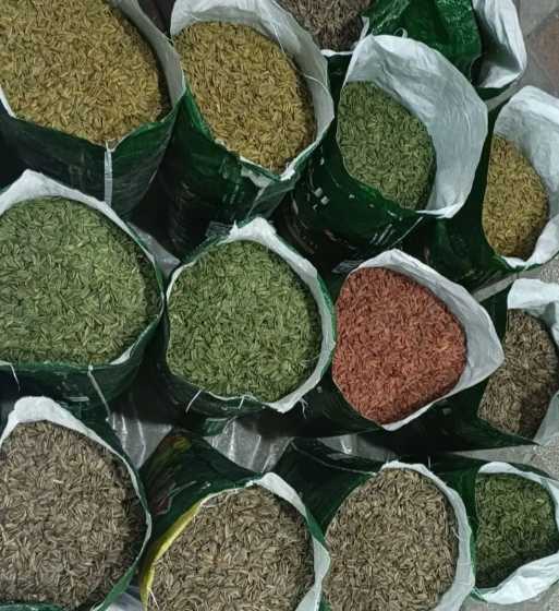 خرید تخمه آفتابگردان