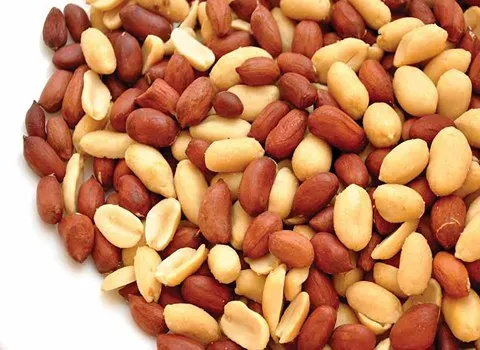 تصویر 4 از بادام زمینی بدون نمک تازه با طعم طبیعی