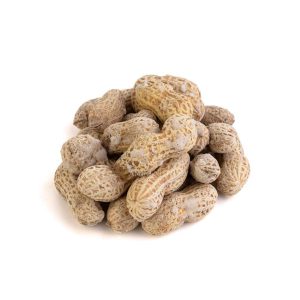 تصویر 3 از بادام زمینی غلاف دار درشت و خوش خوراک