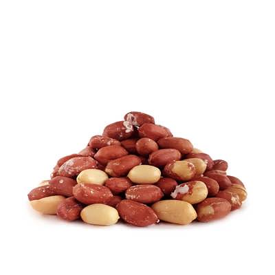 فروش بادام زمینی