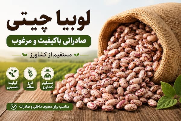 قیمت لوبیا