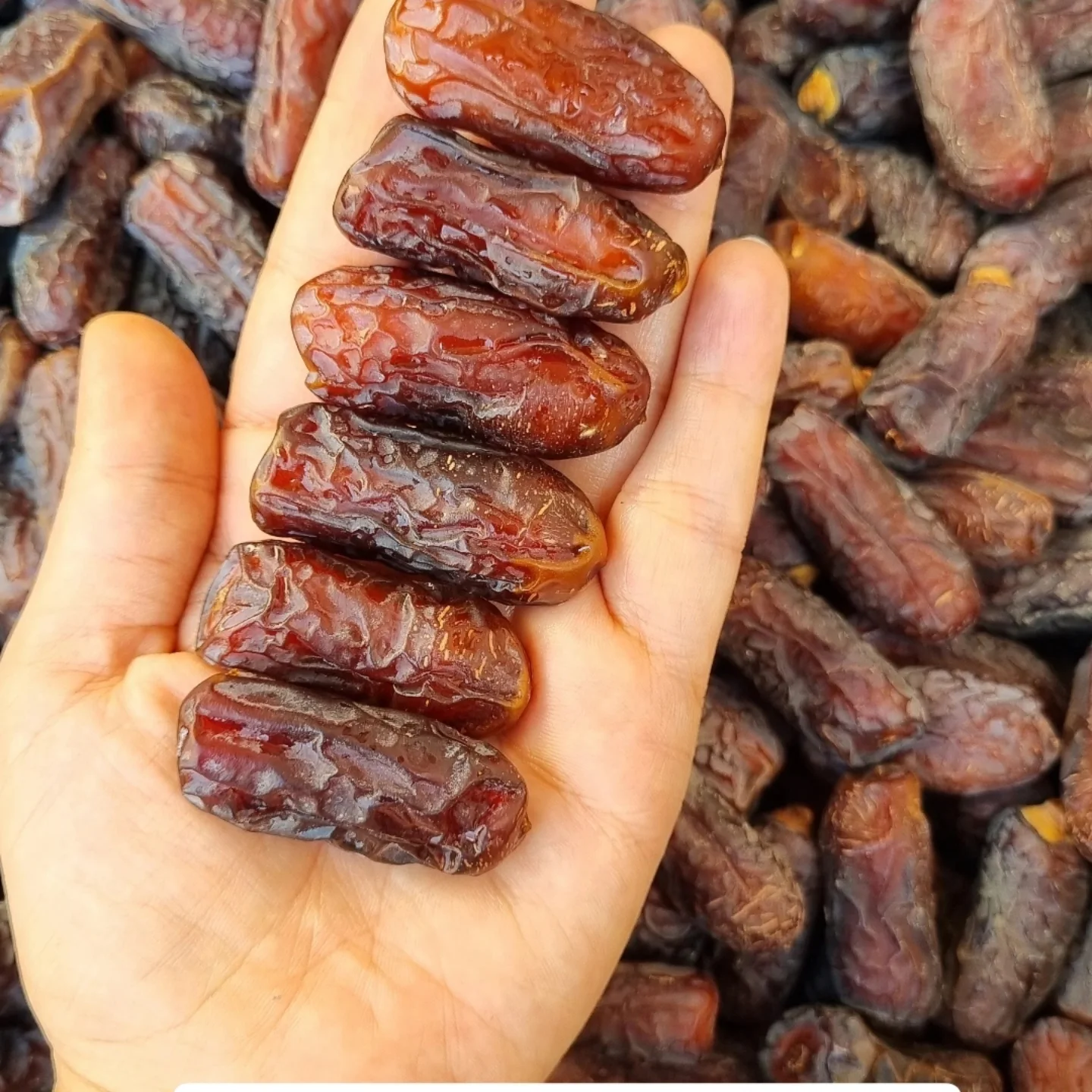 خرید خرما عمده پیارم با کیفیت بالا