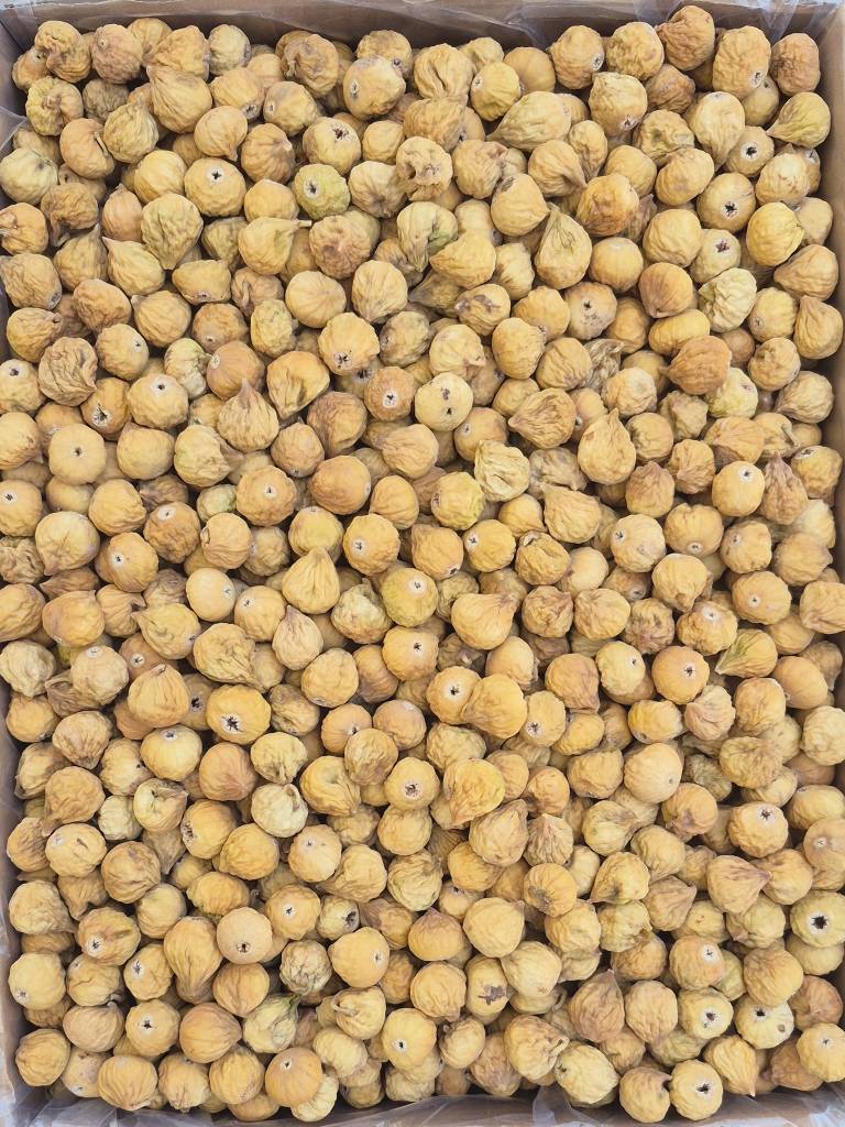 تصویر 2 از انجیرخشک استهبان با کیفیت عالی