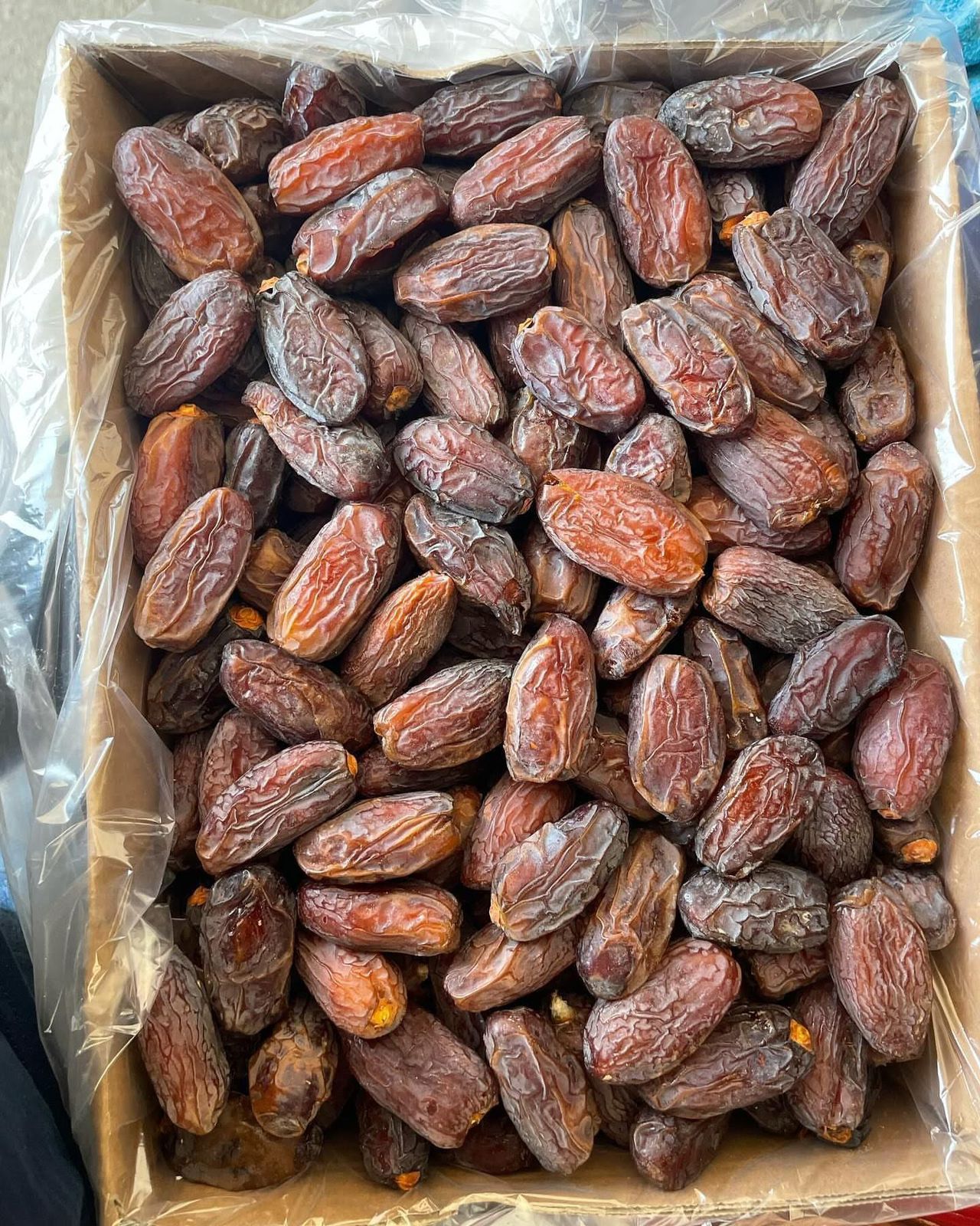 استانداردهای بسته‌بندی و نگهداری خرما مجول