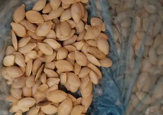 تصویر 4 از تامین خشکبار عمده + تخمه کدوی ممتاز