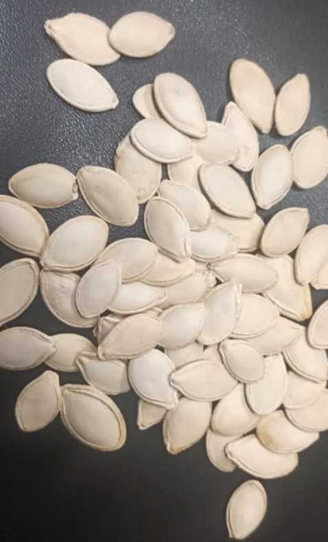 خرید تخمه