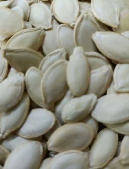 قیمت تخمه