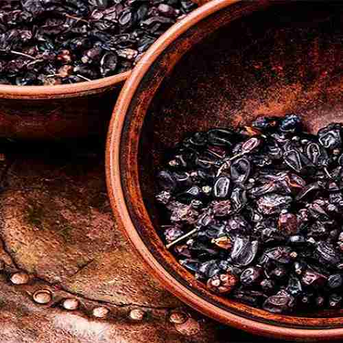 قیمت زرشک کوهی