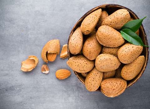 قیمت خرید بادام سنگی + فروش عمده