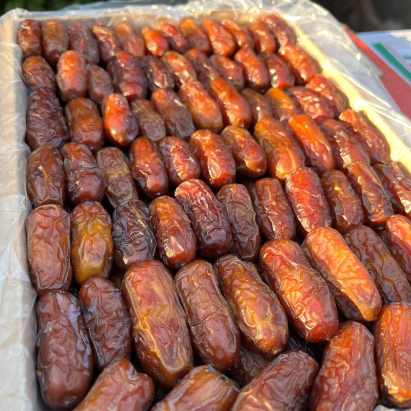 چگونه بسته‌بندی استاندارد از خرمای پیارم محافظت می‌کند؟