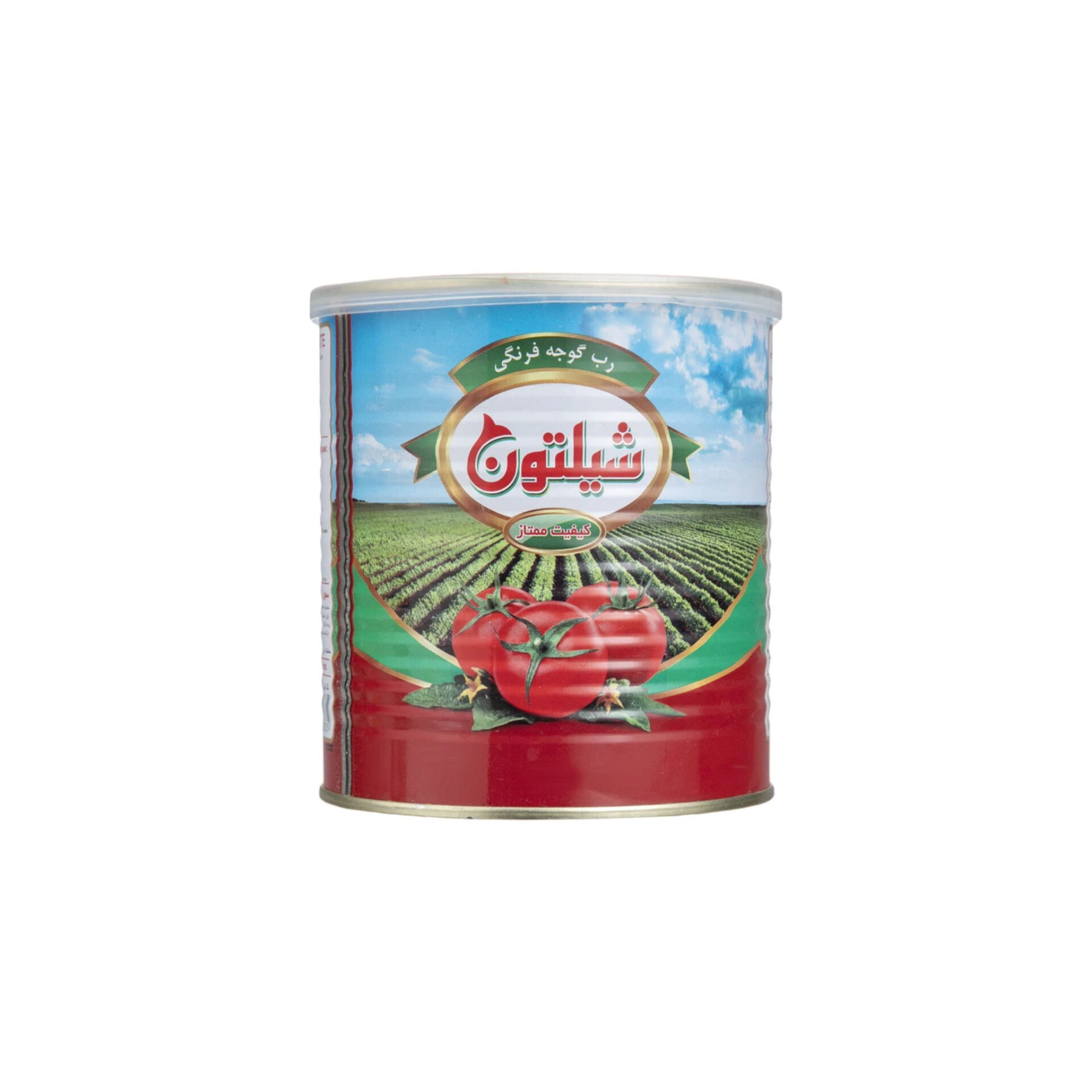 صادرات رب گوجه فرنگی شیلتون ترکیب کیفیت طعم و استاندارد بین‌المللی