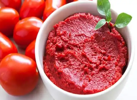تصویر 2 از گسترش صادرات با رب گوجه‌ فرنگی بيژن باکیفیت