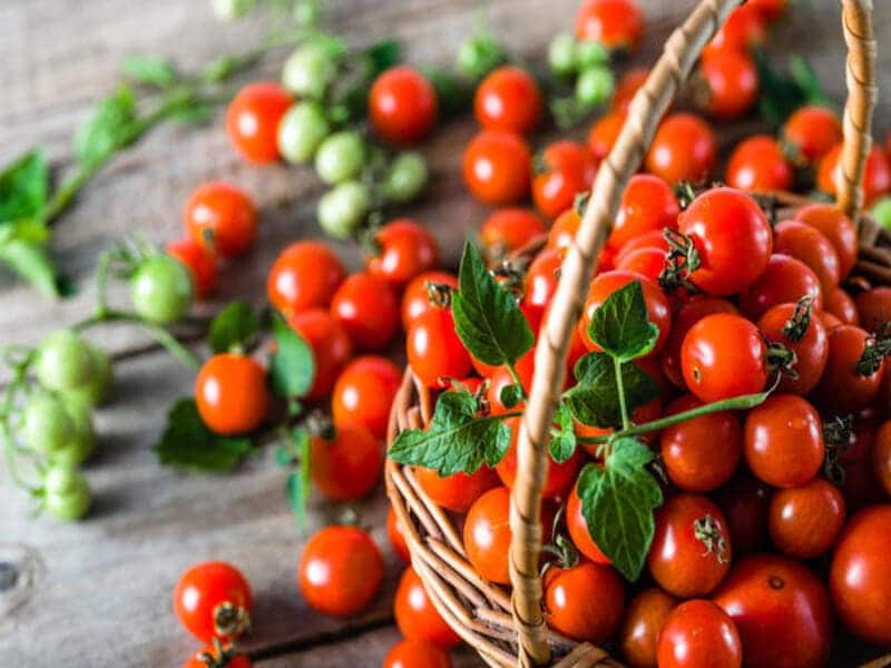 تصویر 1 از گسترش صادرات با رب گوجه‌فرنگی یک و یک باکیفیت