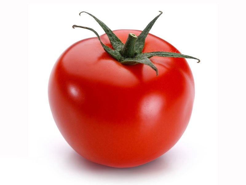 تصویر 2 از گسترش صادرات با رب گوجه‌ فرنگی خرسند با کیفیت