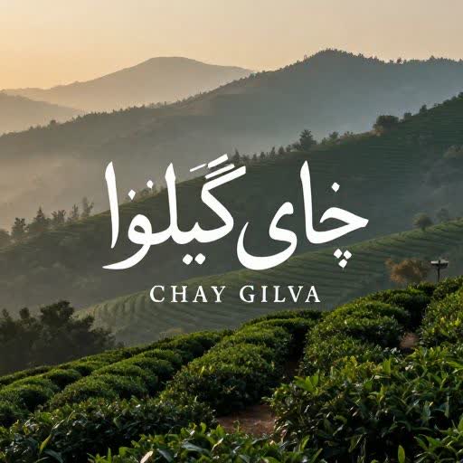 راهنمای شناخت چای لاهیجان اصل و باکیفیت