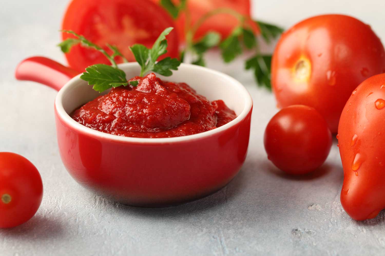تصویر 4 از رب گوجه‌ فرنگی روژین انتخابی ممتاز برای توسعه صادرات مواد غذایی