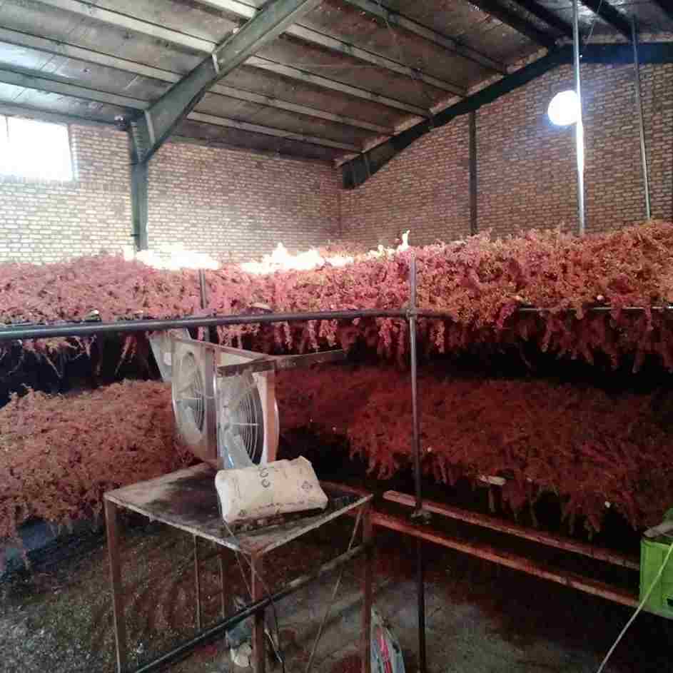 تصویر 2 از زرشک پفکی عمده مناسب مصارف خانگی و صنعتی