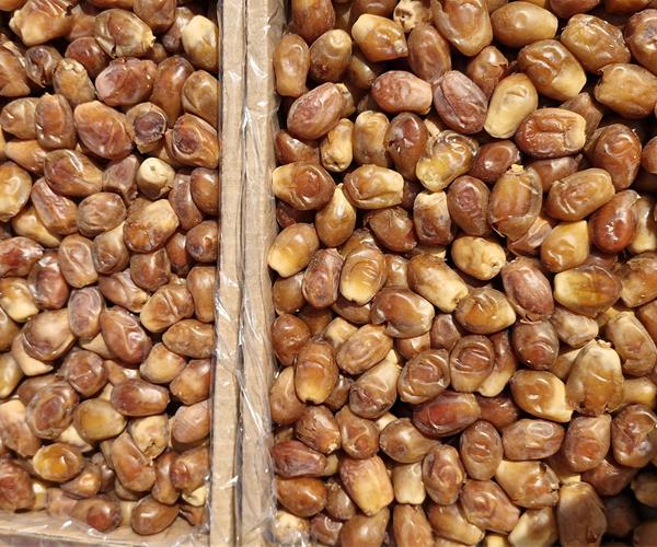تصویر 1 از خرما زاهدی بسته بندی شده با استانداردهای مطلوب عرضه محصول