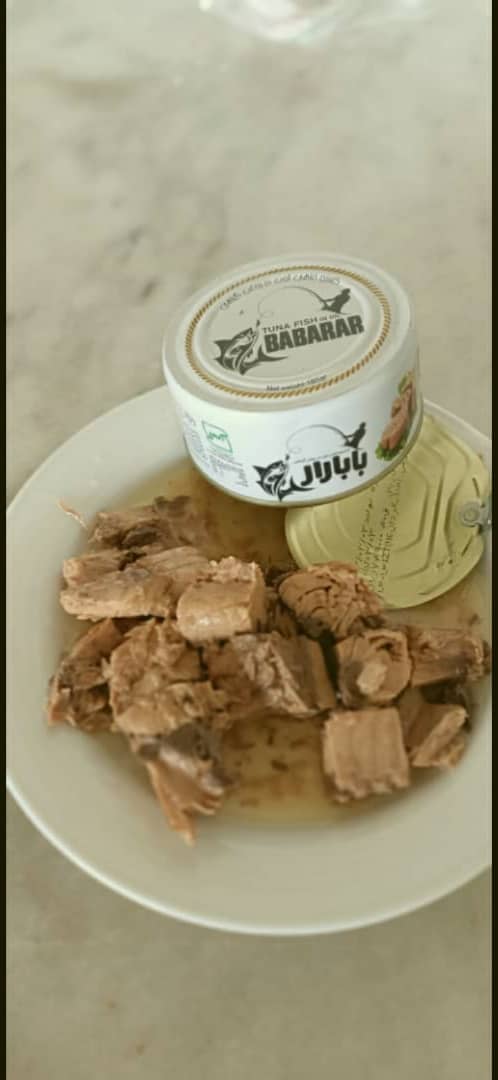 فروش عمده تن ماهی زرده بابارار