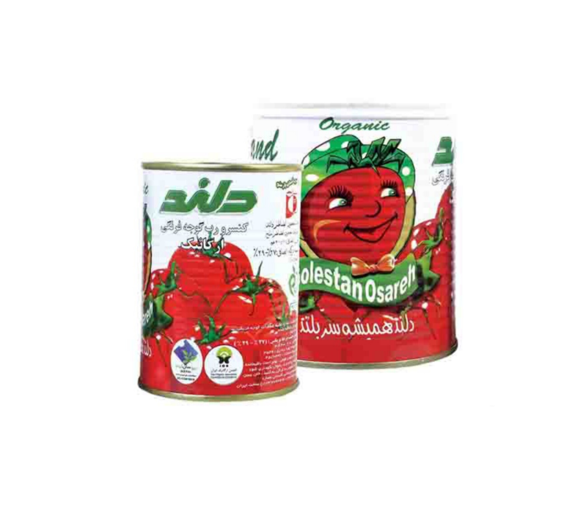 کیفیت ماندگار و صادراتی پایدار با رب گوجه‌فرنگی دلند و خرید عمده