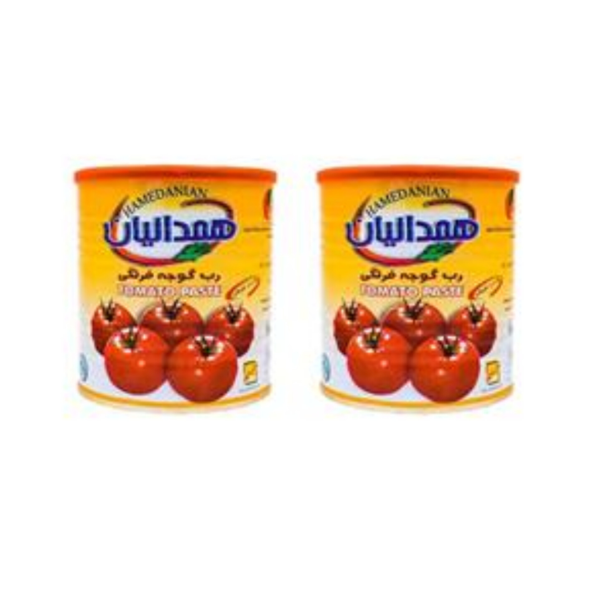 رب گوجه‌فرنگی همدانیان انتخاب برندهای حرفه‌ای در تجارت بین‌الملل برای خرید صادراتی