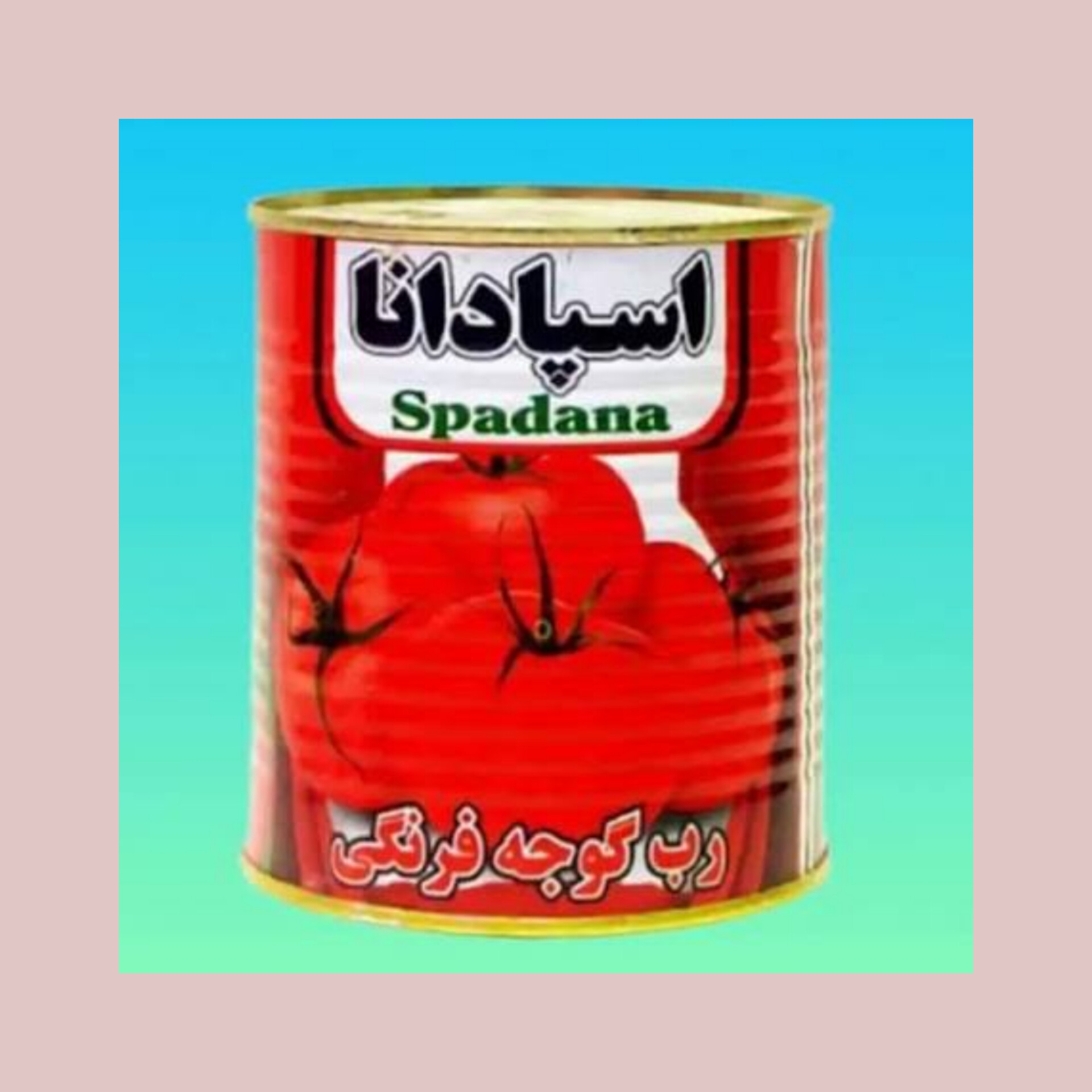 رب گوجه‌فرنگی اسپادانا انتخاب برندهای حرفه‌ای در تجارت بین‌الملل برای خرید صادراتی